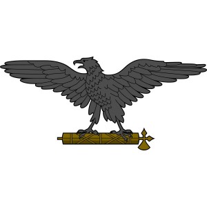 600px-Eagle_with_fasces.svg_-300x300